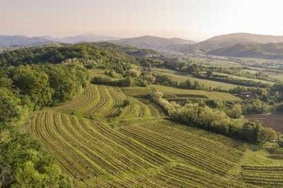 Agriturismo Spolert Winery Prepotto  エクステリア 写真