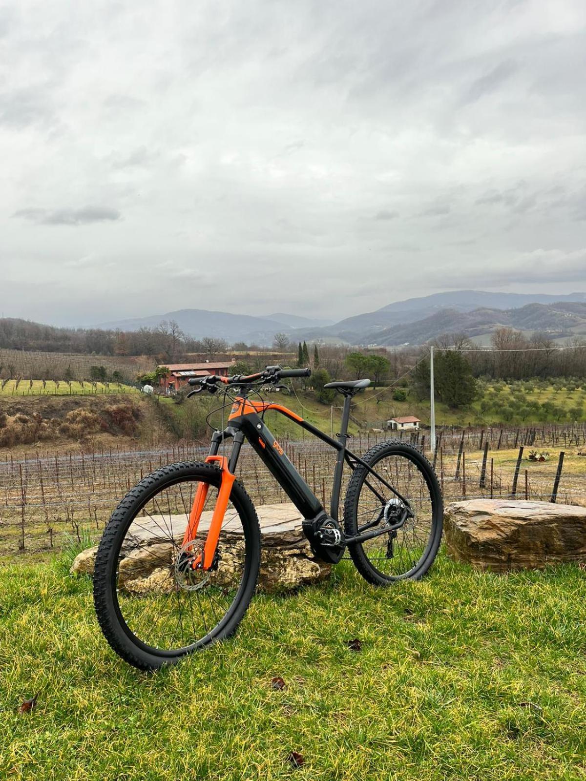 Agriturismo Spolert Winery Prepotto  エクステリア 写真